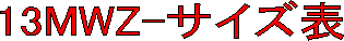 13MWZ-�T�C�Y�\